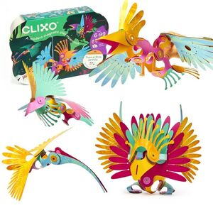 CLIXO TROPICAL BIRDS