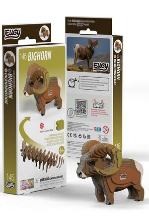 145 EUGY BIGHORN