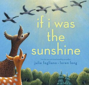 IF I WAS THE SUNSHINE