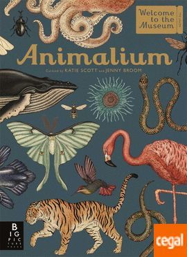 ANIMALIUM