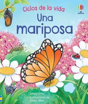 UNA MARIPOSA CICLOS DE LA VIDA