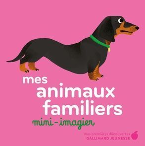 MES ANIMAUX FAMILIERS