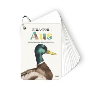 FIXA-T'HI: AUS