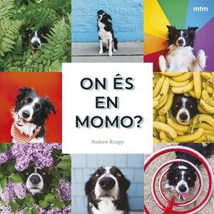 ON ÉS EN MOMO?