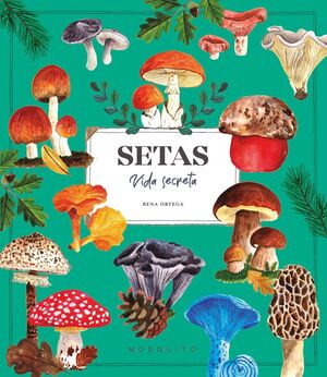 SETAS VIDA SECRETA