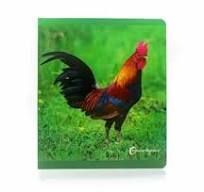 ANIMALES DE GRANJA GRANJA