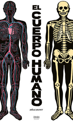 EL CUERPO HUMANO