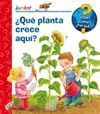 ¿QUÉ? JUNIOR. ¿QUÉ PLANTA CRECE AQUÍ?