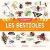 DESCOBREIXO LES BESTIOLES I APRENC A RECONÈIXER-LE