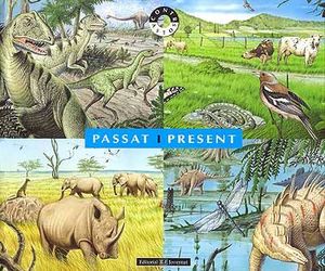 PASSAT I PRESENT
