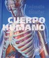 CUERPO HUMANO