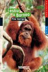 UN ESTIU A BORNEO