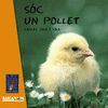 SOC UN POLLET