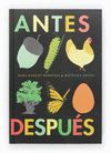 ANTES. DESPUÉS