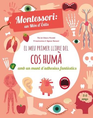 EL MEU PRIMER LLIBRE DEL COS HUMA (VVKIDS)