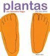 PLANTAS DE LOS PIES