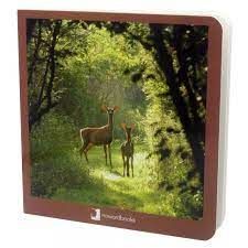 LOS ANIMALES DEL BOSQUE