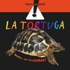 LA TORTUGA MEDITERRÀNIA