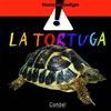 LA TORTUGA MEDITERRÁNEA