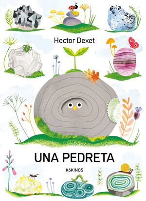 UNA PEDRETA